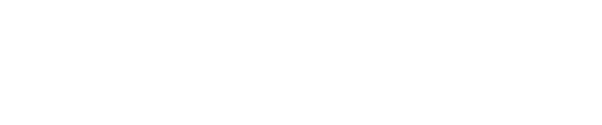 Spinamic Logo